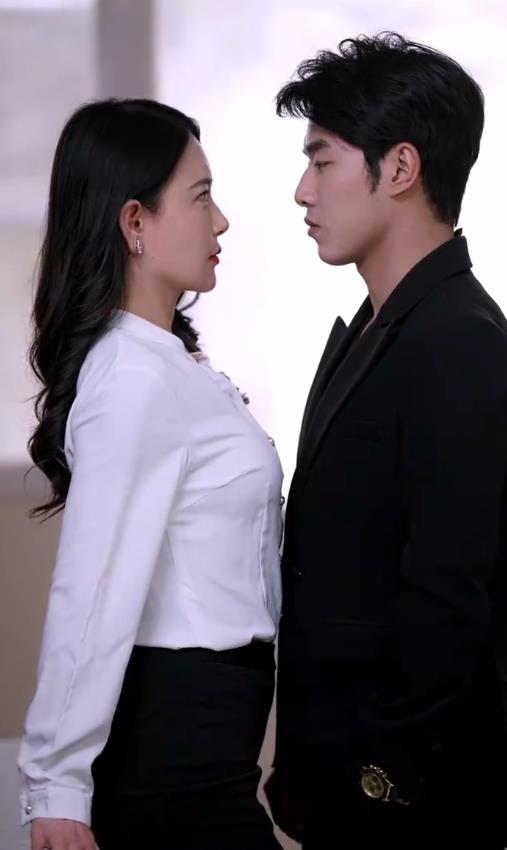 韩先生的贴身女佣第13集