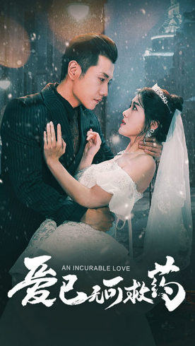 爱已无可救药第01集