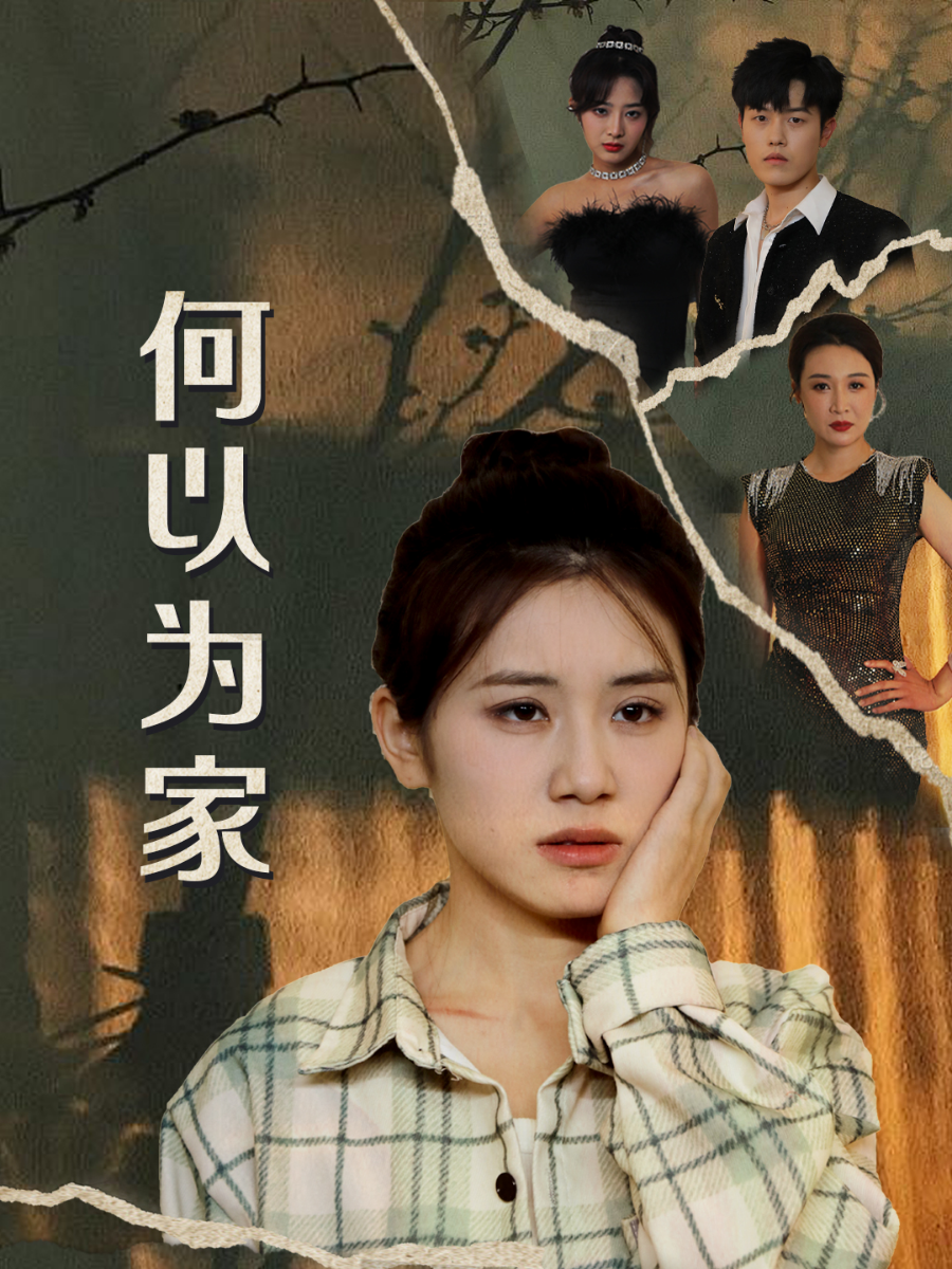 何以为家第04集