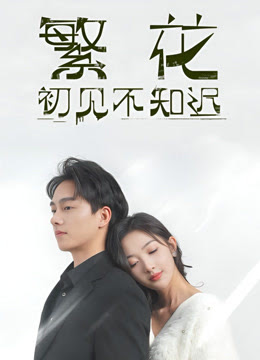繁花初见不知迟第101集(大结局)