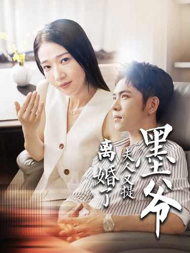 墨爷夫人又提离婚了第101集