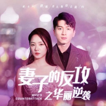 妻子的反攻之华丽逆袭第12集