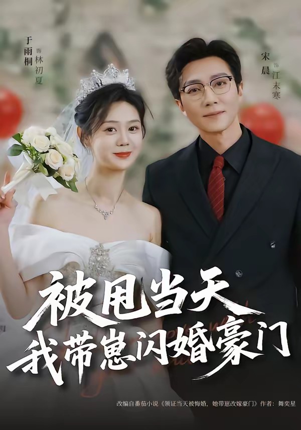 被甩当天我带崽闪婚豪门(全集)